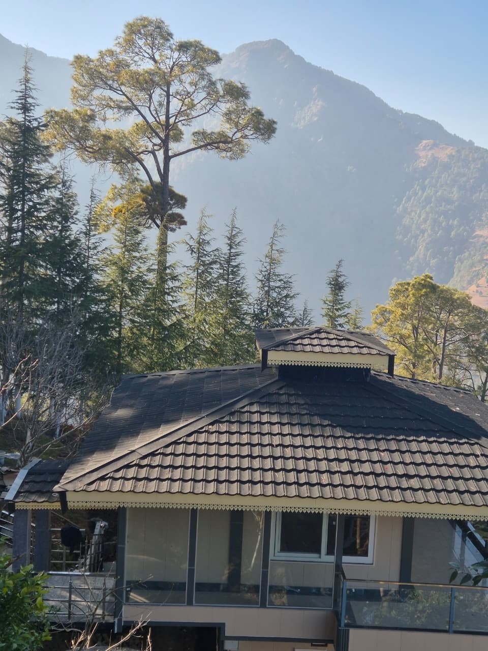 Deluxe Cottage View